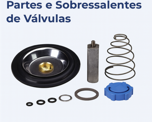 Partes e Sobressalentes de Válvulas